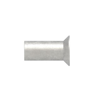 Terminale testa svasata filetto interno M5x15 AISI 304