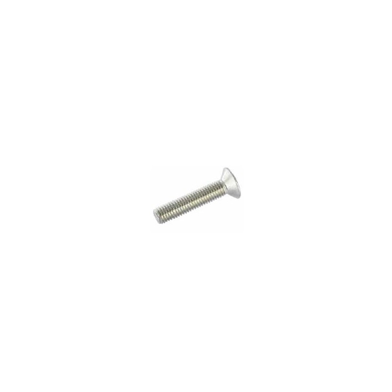 Vite a testa piana svasata dx M8x30 aisi 304
