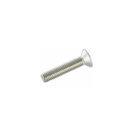 Vite a testa piana svasata dx M8x60 aisi 304