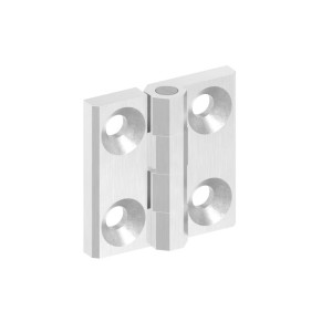 Cerniera 60x60 mm AISI 316 satinato con fori M8
