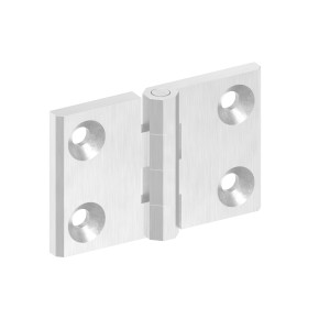 Cerniera 50x76 mm AISI 316 satinato con fori M6