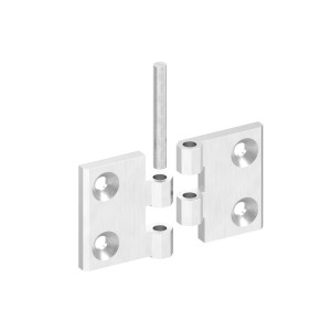Cerniera 50x76 mm AISI 316 satinato con fori M6