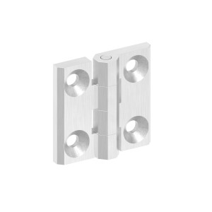 Cerniera 40x40 mm AISI 316 satinato con fori M5