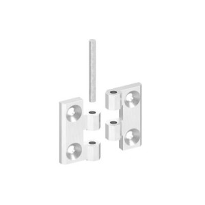 Cerniera 40x40 mm AISI 316 satinato con fori M5